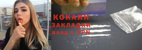 молекула духа Осташков
