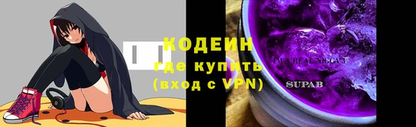 молекула духа Осташков