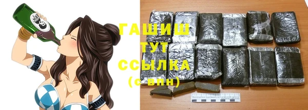 молекула духа Осташков