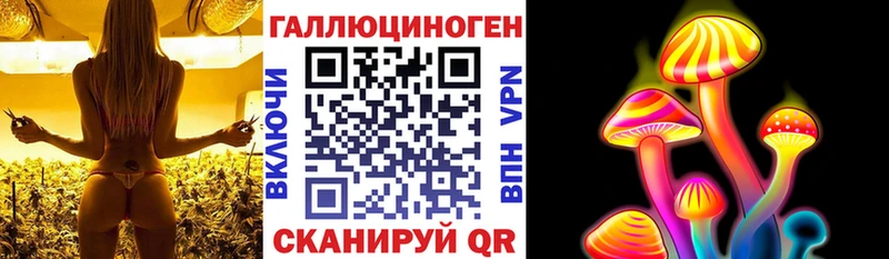 Псилоцибиновые грибы мицелий  где можно купить   kraken как зайти  Пудож 